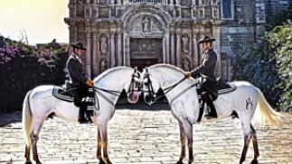 Visita a la Yeguada de La Cartuja